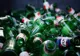 empty glass bottles